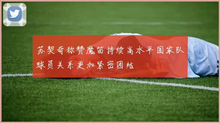 苏契奇称赞魔笛持续高水平国家队球员关系更加紧密团结